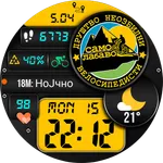 DNV Watch Face icon