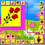 Onet Connect Rose icon