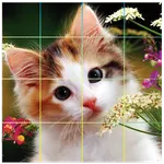 Puzzle Cute Cats - Tile Puzzle icon