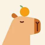 CappyMind - AI Journal icon