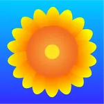 Sunflower Browser icon