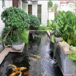 Beautiful Garden icon
