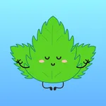Mint VPN icon