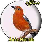 Kicau Burung Anis Merah Juara icon
