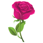 Pegatinas de Rosas WASticker icon