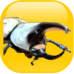 Puzzles and beetles icon