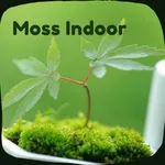 Grow Moss Indoor Guide icon