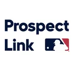 Prospect Link icon