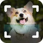 Dog Breed Identifier Photo Cam icon