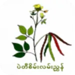 Green Bean Guide icon