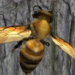 Bee Nest Simulator 3D - Insect icon