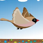 Amazing Bird icon
