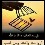 خلفيات اسلامية icon