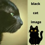 black cat image icon