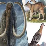 Extinct animals icon