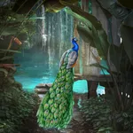 Peacock Bird: Peacock Feather icon