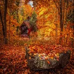 autumn wallpaper icon