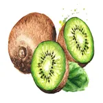 kiwi wallpaper icon