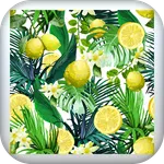 lemon wallpaper icon