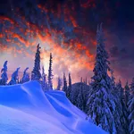 winter wallpaper icon