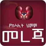 Amharic Kidney Disease icon