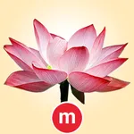 Creative Visualization icon