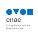 CNAE icon