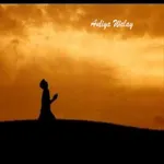 Auliyawalay icon