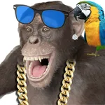 Funny Talking Monkey icon