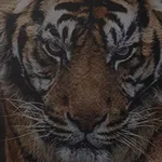 Get Motivated icon