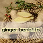 ginger  benefits icon