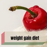 weight gain meal plan icon