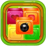 Monkey Puzzle icon