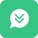 WhatsServer Status icon