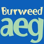 Burweed FlipFont icon