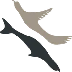 Monserrat Galapagos Yacht icon