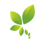 Implanta icon