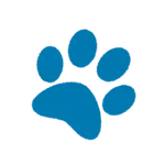 포포패스_관리자 icon