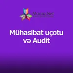 Mühasibat uçotu və Audit icon