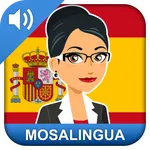 Learn Business Spanish Fast icon