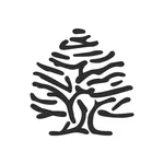 Springfield: Moda hombre/mujer icon