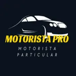 Motorista Pro - Passageiro icon