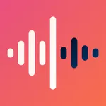 Recorder icon