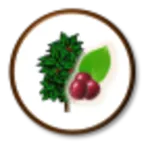 AppVEFcafe icon
