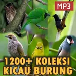 1500+ Suara Kicau Burung MP3 icon