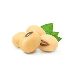 Phule Soyabean icon