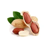 Phule Summer Groundnut icon