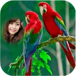 Parrot Photo Frames HD icon