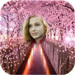 Sakura Photo Frames HD icon