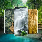 Wild and Forest Wallpaper icon